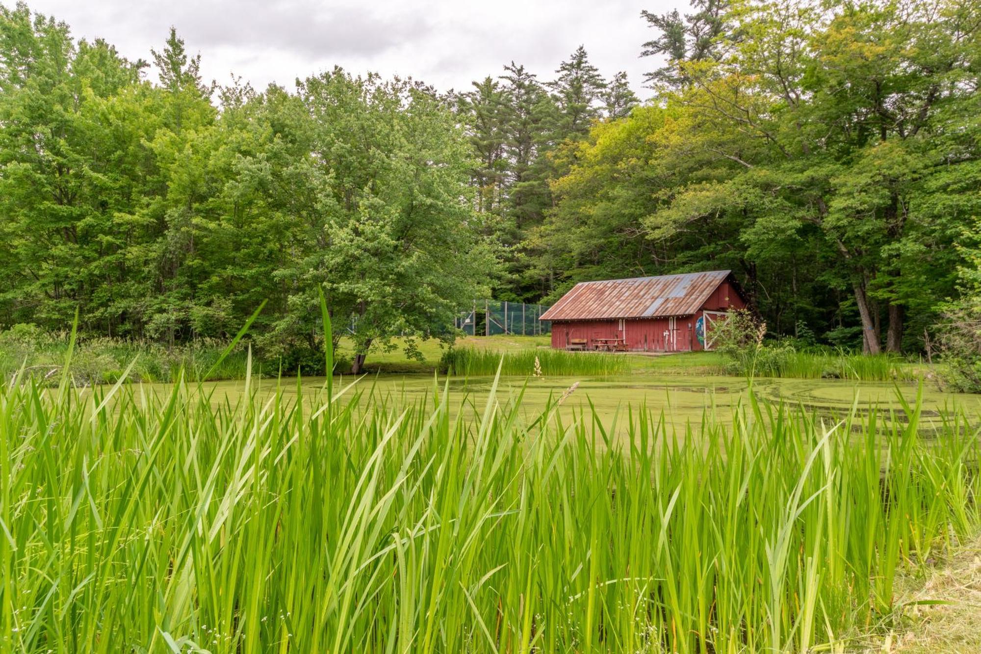 Cranmore Mountain Lodge Bed & Breakfast ノース・コンウェー エクステリア 写真